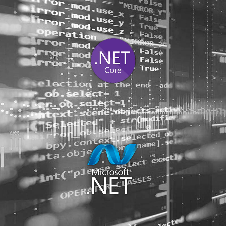 .NET Core | .NET Framework